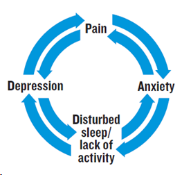 Pain cycle